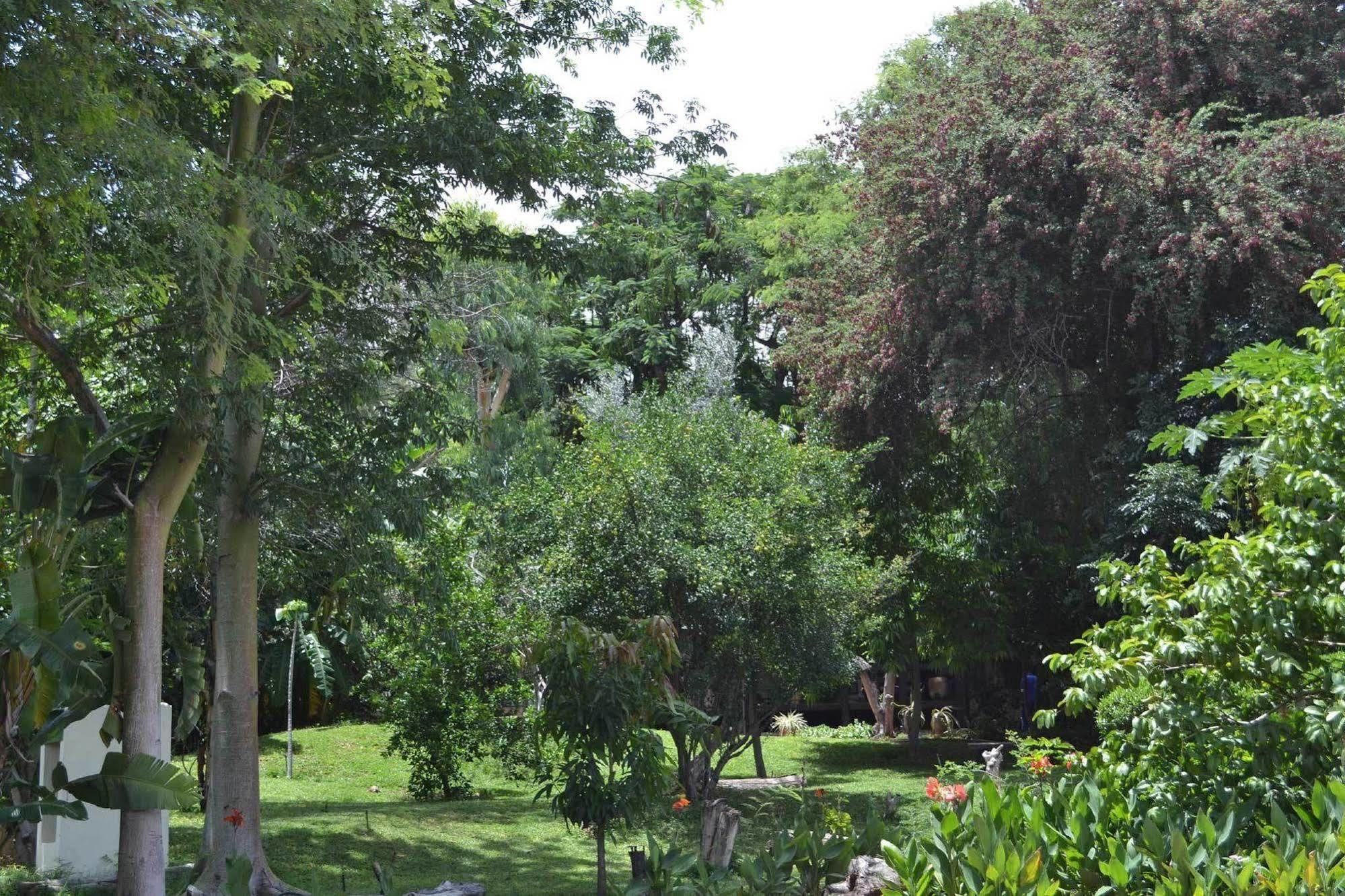 Tambuti lodge Rundu Bagian luar foto